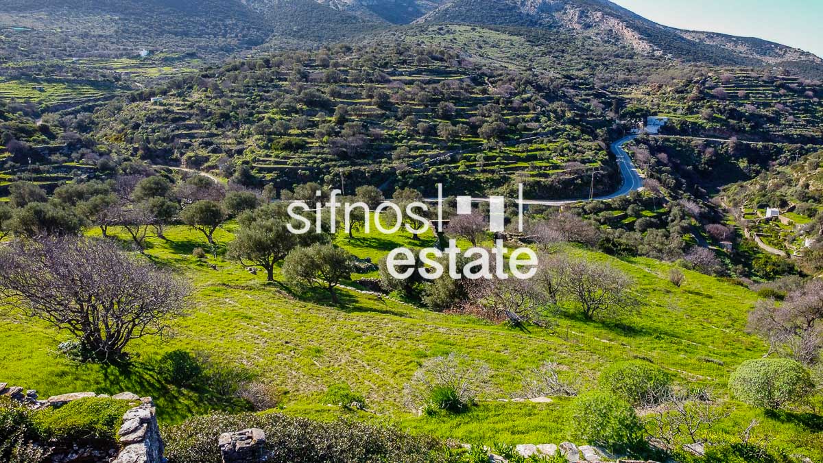Sifnos real estate ID 442 Old farm house for sale Apollonia