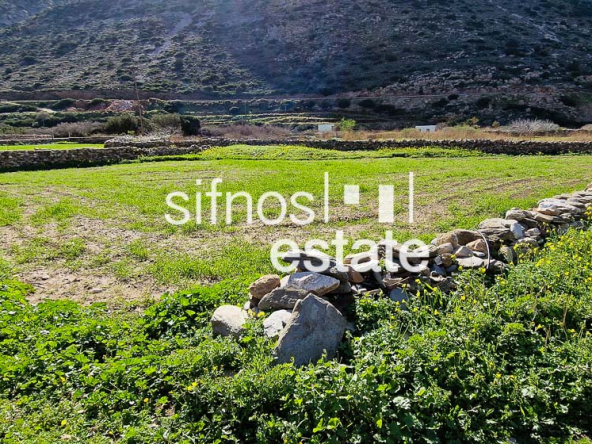 Sifnos real estate ID 469 Agricultural non-buildable for sale Ka