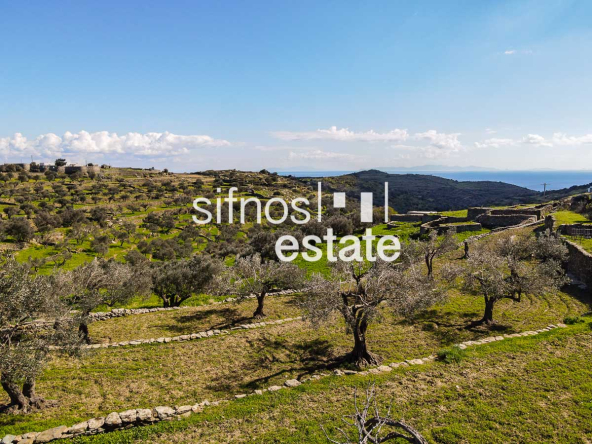 Sifnos real estate ID 1228 Plot for sale Platis Gialos