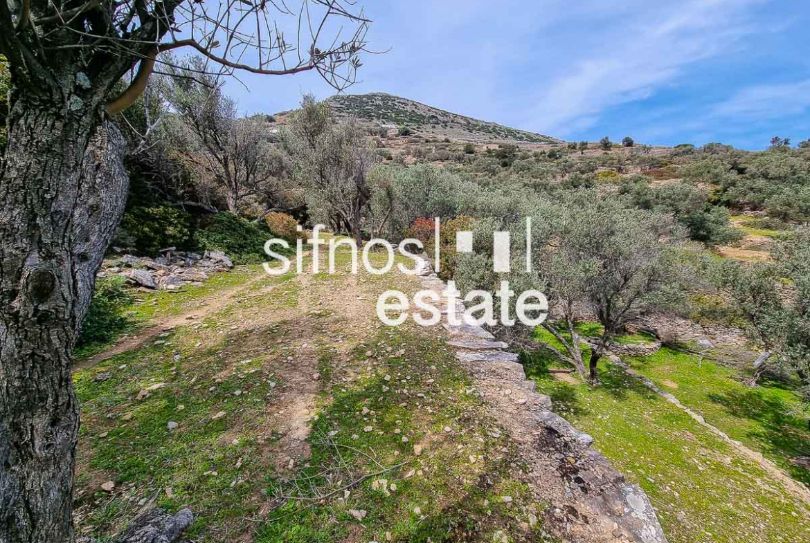 Sifnos real estate ID 1246 Plot for sale Kastanas