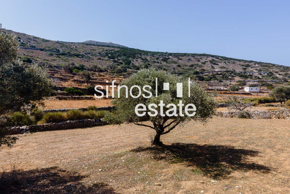 Sifnos real estate ID 487 Agricultural non- buildable land for s