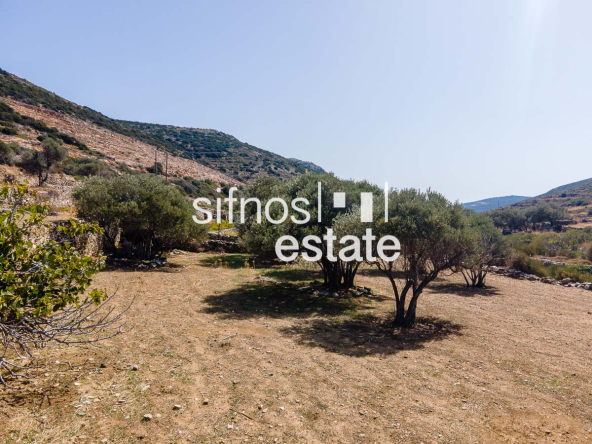 Sifnos real estate ID 487 Agricultural non- buildable land for s