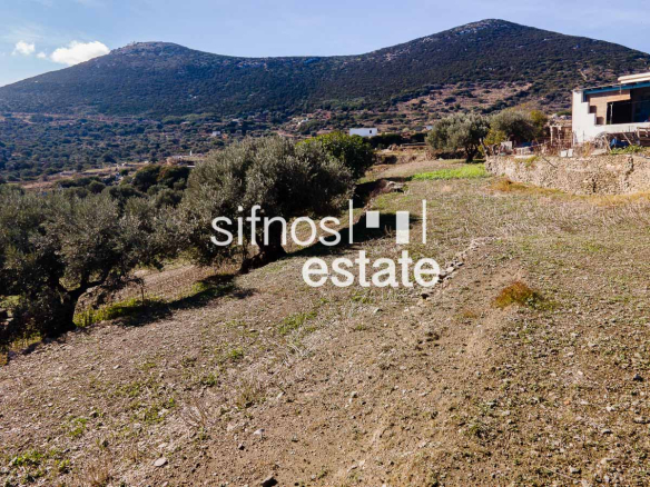 Sifnos real estate ID 485 Agricultural non buildable land for sa